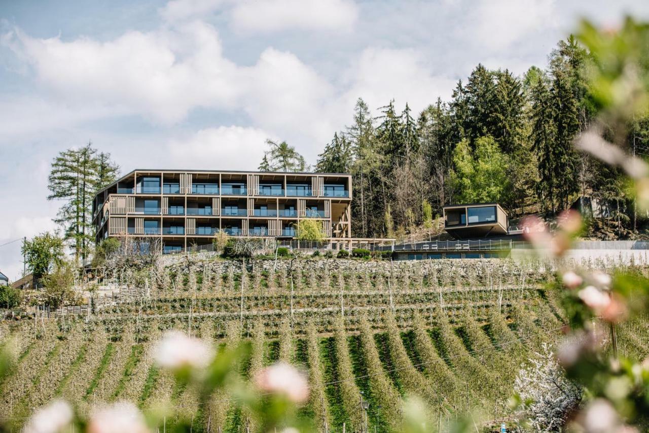 Panoramic Suites Winzerhoehe Schenna Exteriör bild